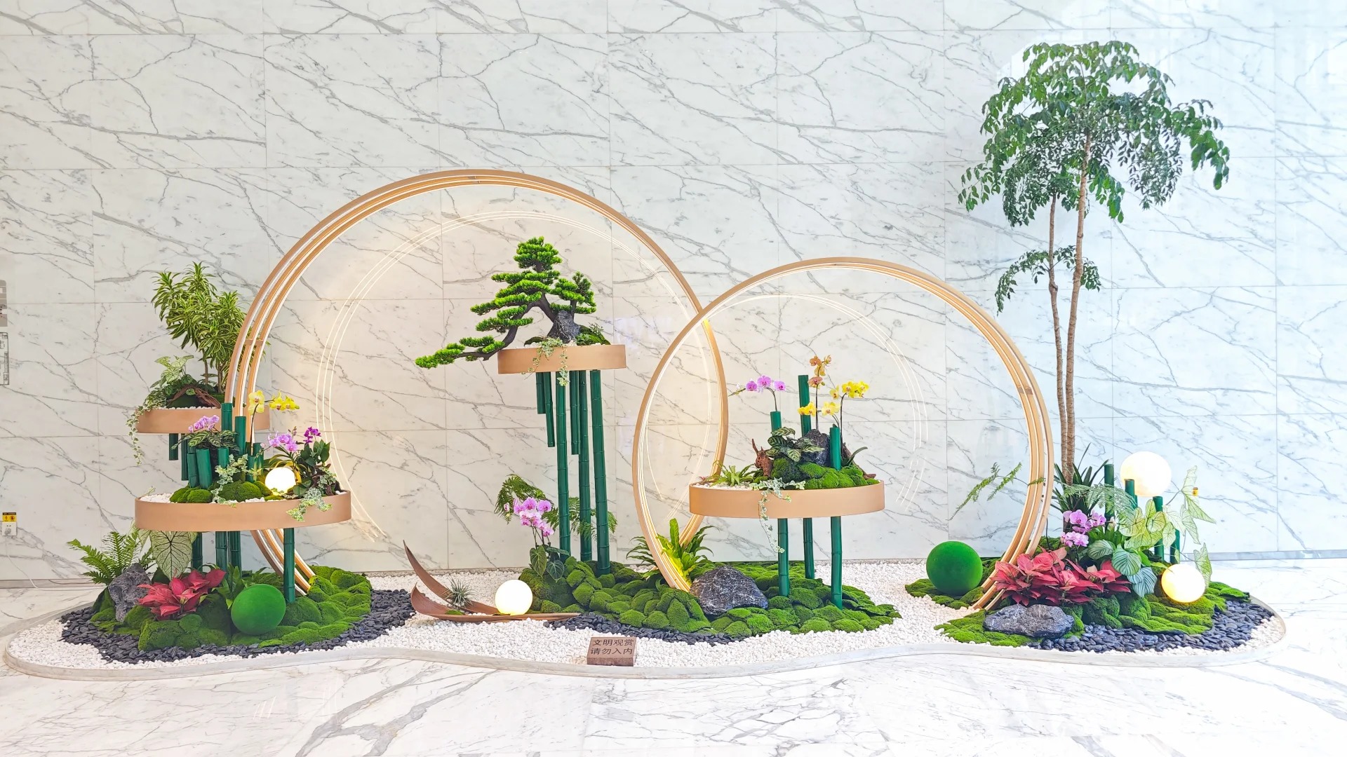 余姚植物租摆价格知多少？快来看一看！